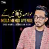 Syed Murtaza Hassan Rizvi - Mola Mehdi Ayenge - Single